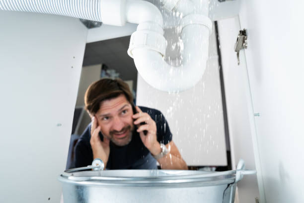 Best Local Plumber Services  in Loretto, TN